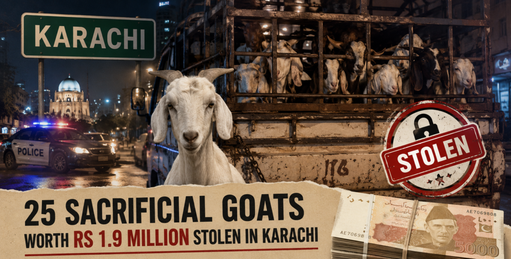 25 Sacrificial Goats Worth Rs 1.9 Million Stolen in Karachi