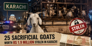 25 Sacrificial Goats Worth Rs 1.9 Million Stolen in Karachi