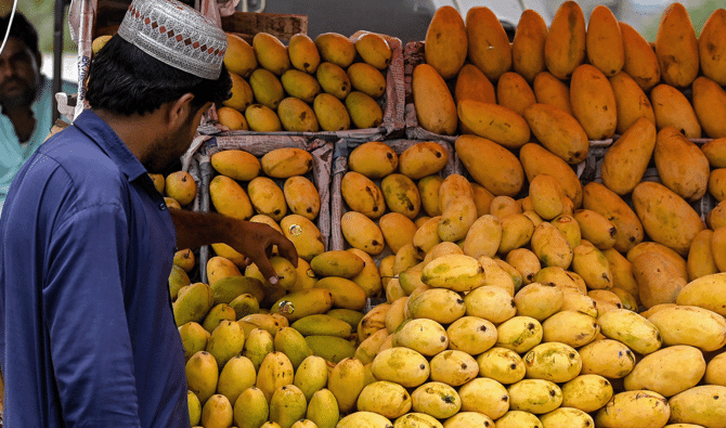Pakistan Mango Exports Fall Sharply — Middle East Crisis Reduces Revenue From $110M to $80M